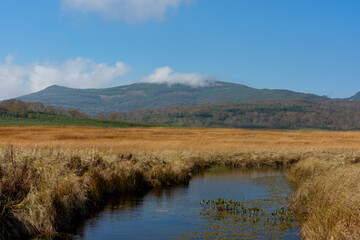 雨竜沼湿原の草紅葉と池塘が広がる秋景色（北海道）