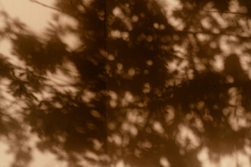 Abstract tree leaf shadows on brown wall texture creating a natural silhouette pattern.