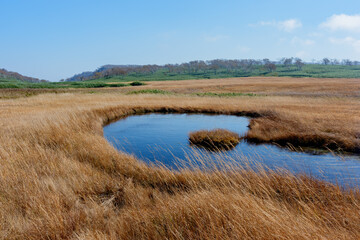 雨竜沼湿原の草紅葉と池塘が広がる秋景色（北海道）