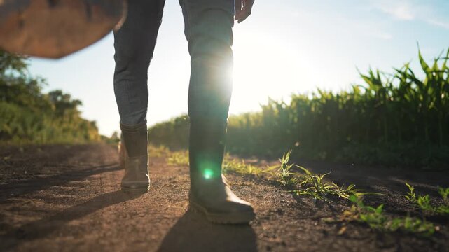 Walking across dirt road with shovel visible lower leg and boot as farmer walks past crop field in rural agriculture setting with sun backlight and worn shovel touching soil on dry dirt path