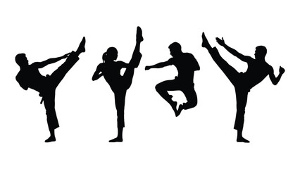 Martial arts kick silhouettes isolated on white background, Vector