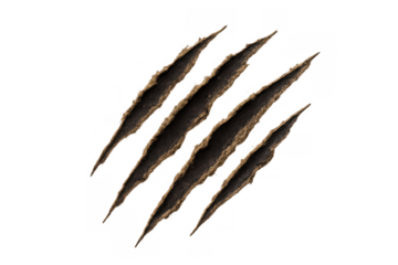 Four diagonal claw marks ripping, tearing, scratching surface, showing dark damage and aggressive force, transparent background