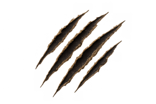 Four diagonal claw marks ripping, tearing, scratching surface, showing dark damage and aggressive force, transparent background