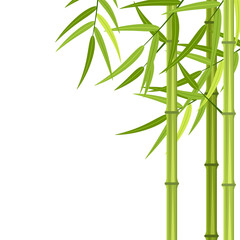 Vector green bamboo stems