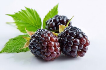 Fresh Blackberries with Green Leaves Isolated on White Background