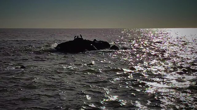 An eye leve wide shot video of a group of birds perched on a small rock in the middle of the sea.  