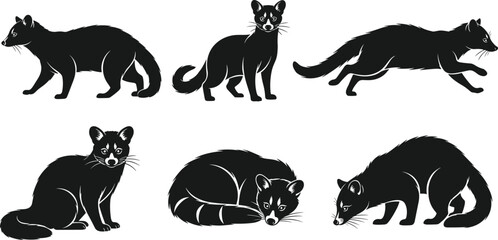 Civet cat silhouette vector, exotic animal illustration, predator mammal pose, side view composition, cad drawing flat vector illustration, whisker detail