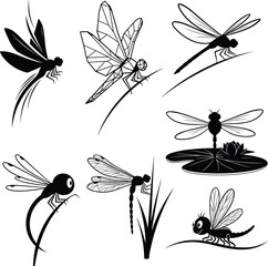 dragonfly silhouette vector, cartoon insect illustration, stylized bug drawing, nature anatomy study, flat bug vector, perched insect pose, vector insect anatomy, 
