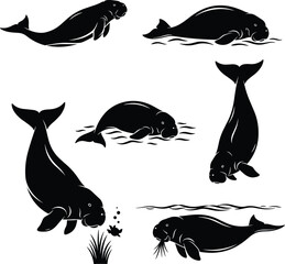 Manatee silhouette vector, sea cow illustration, aquatic mammal pose, underwater anatomy study, marine life grazing, cad drawing flat vector illustration