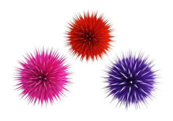 Three spiky fluffy pom poms isolated on white background