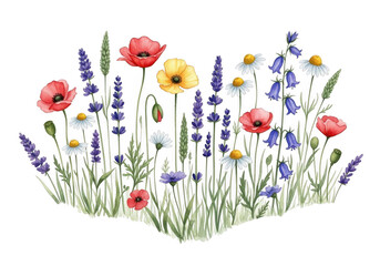 Heart shaped arrangement of wildflowers isolated on white background