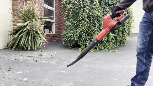 Efficient leaf blower clearing driveway leaves in motion.