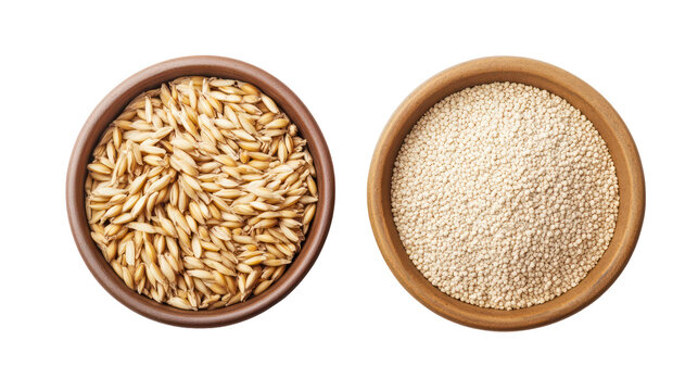 Whole barley grains with barley powder in a bowl overhead side by side on transparent background