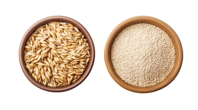 Whole barley grains with barley powder in a bowl overhead side by side on transparent background