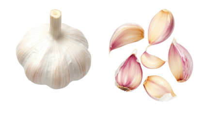 Whole garlic bulb and cloves isolated on transparent background