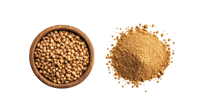 Whole jowar grains with jowar powder overhead side by side on transparent background