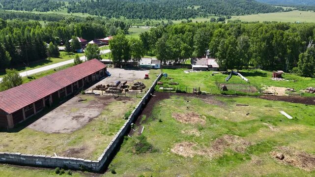 Aerial view of a farm with marals grazing on green land, surrounded by trees and mountains. Clear summer day and natural Kazakh landscape