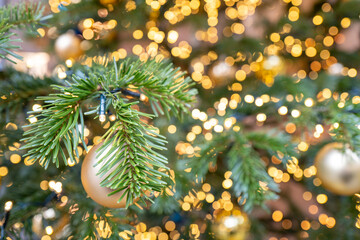Weihnachten Tannen Zweig mit Licht