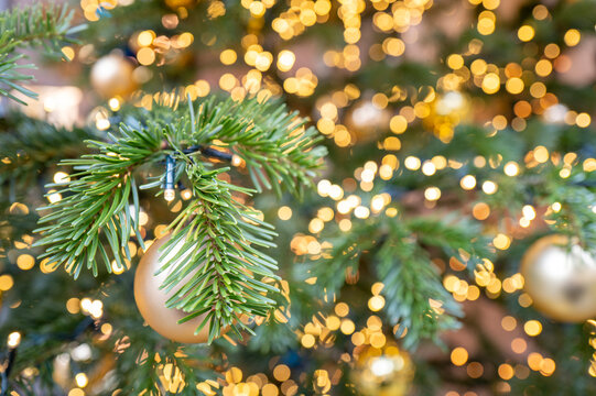 Weihnachten Tannen Zweig mit Licht