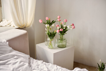 Gentle sunlight illuminates delicate tulips in peaceful setting