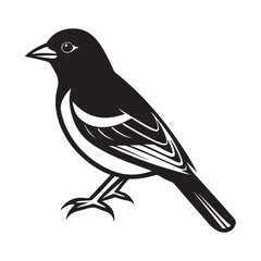 Baltimore oriole silhouette black vector icon
