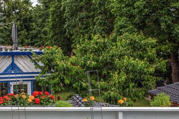 Fototapete bei efototapeten.de bestellen   