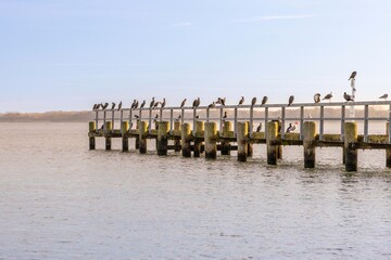 fence on the beach