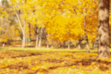 Blurred Background Autumn Yellow. Blur Background of Tranquil Autumn in a Peaceful Park Setting. Defocused Image for Background.
