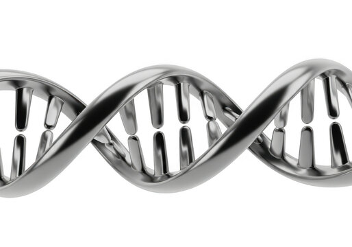 Closeup of a metallic dna double helix structure, isolated on transparent background, representing genetics and science