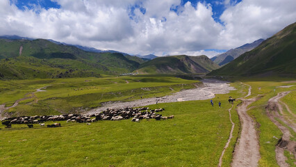 a drone flies over a mountain river in a mountain gorge in the valley of marmots in the Dzhily-Su tract in the Caucasus at the foot of Elbrus