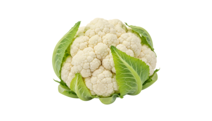 Whole Fresh White Cauliflower with Green Leaves Isolated | Vegetable Produce