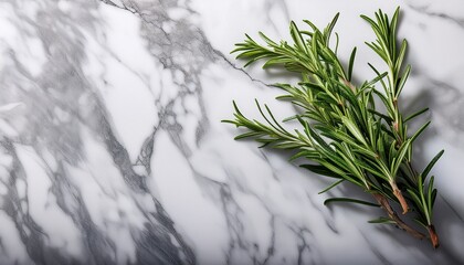 rosemary sprig on marble slab with copy space