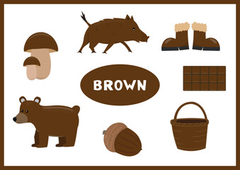 Learn the brown color. Education set of one color objects. Vector flat illustration for posters, worksheets and activities for kids.