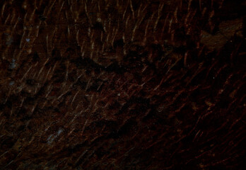 Dark rough stone wall background in vintage style for graphic design or wallpaper.