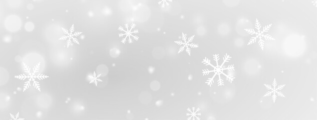 Glistering Winter Snow Overlay with Wide Beam and Bokeh Effects
