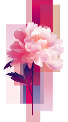 abstract pink roses