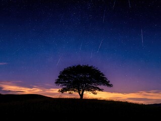 A solitary tree crowns a rolling hill beneath a sky alive with falling meteors and deep twilight hues, blending quiet earthbound stillness with celestial motion