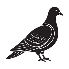 Inca dove silhouette vector icon