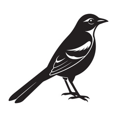 Northern mockingbird silhouette vector icon