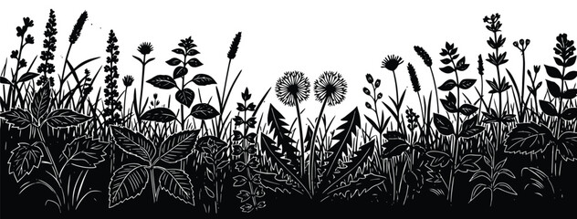 Decorative floral grass border silhouette with wild plants and leaves