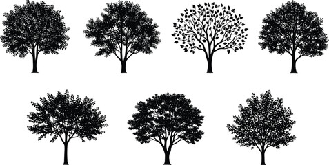 Collection of detailed black tree silhouettes isolated on white background for landscape and nature design.