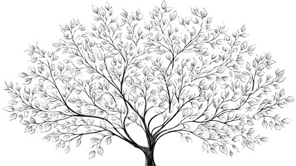 Obraz premium Detailed Vector Illustration of Tree with Leaves and Branches for Graphic Design Projects