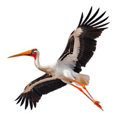 Majestic bird in flight with vibrant wings spread wide