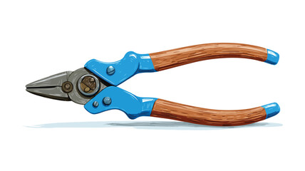 Fototapeta premium Professional Blue Handled Pliers with Brown Wooden Pair, Tool Illustration