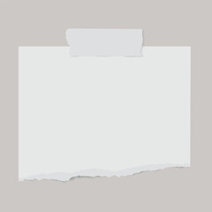 Vector realistic torn paper with adhesive tape and shadow on transparent background.