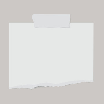 Vector realistic torn paper with adhesive tape and shadow on transparent background.