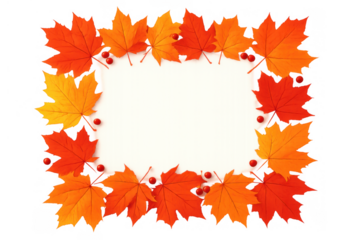 Autumn maple leaves border with white copy space, fall season design with transparent background