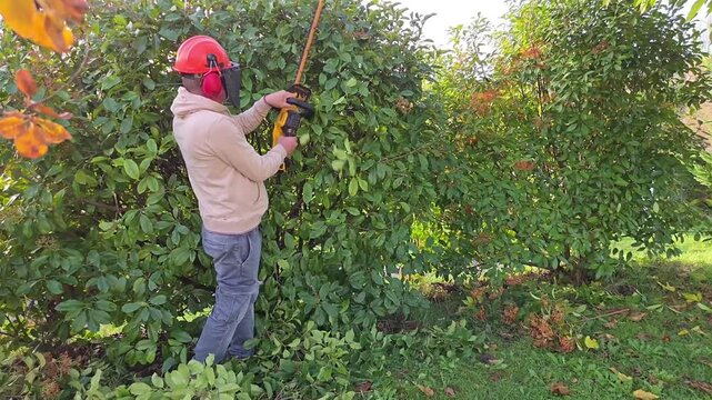 Un homme taille un arbuste avec un taille-haie &eacute;lectrique, jardinier qui travaille &agrave; l'ext&eacute;rieur, am&eacute;nagement paysager et entretien du jardin.