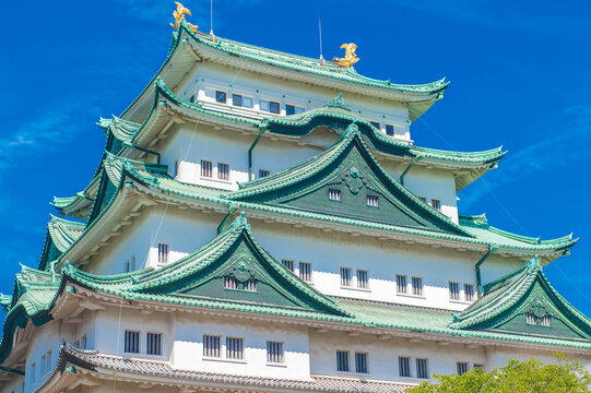 名古屋城の大天守