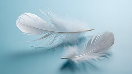 Fototapeta premium Elegant White Feathers on Light Blue Background: Soft, Delicate, and Minimalist Design for Dreamy, Peaceful, and Serene Concepts